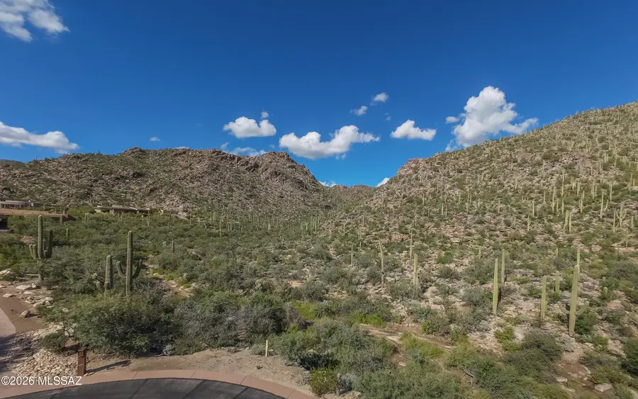 13768 N Cactus Valley, Marana, AZ 85658 - #2