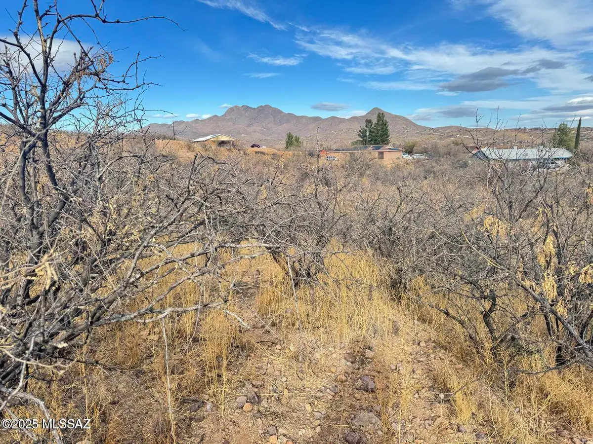 1241 Virgo, Rio Rico, AZ 85648 - #1