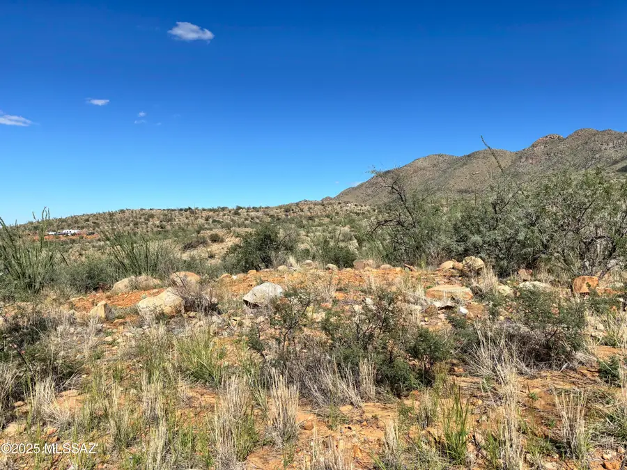 339 Via Mantaraya, Rio Rico, AZ 85648 - #3