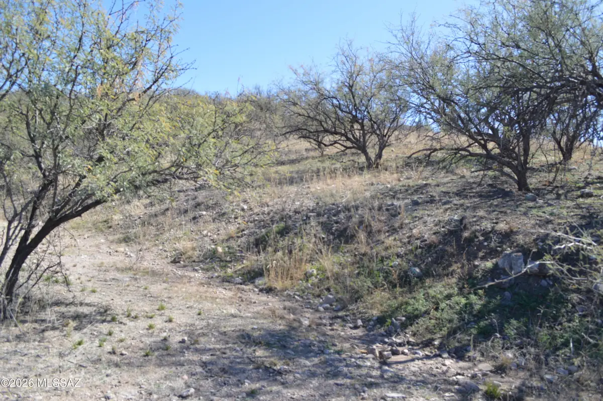 989 Bird, Rio Rico, AZ 85648 - #1