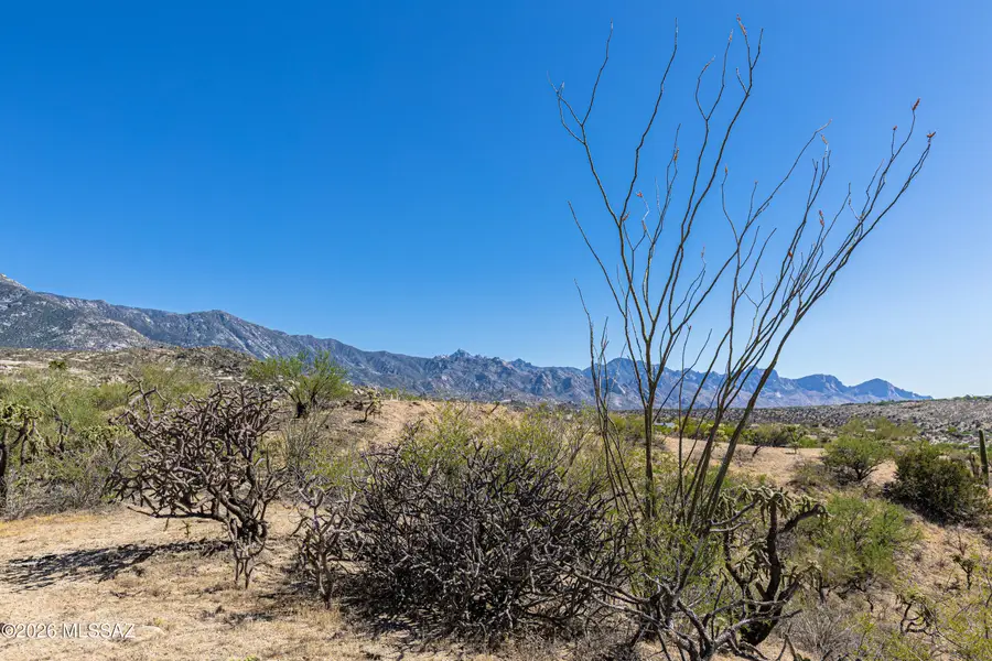 0 E Calle Jacobo, Saddlebrooke, AZ 85739 - #2