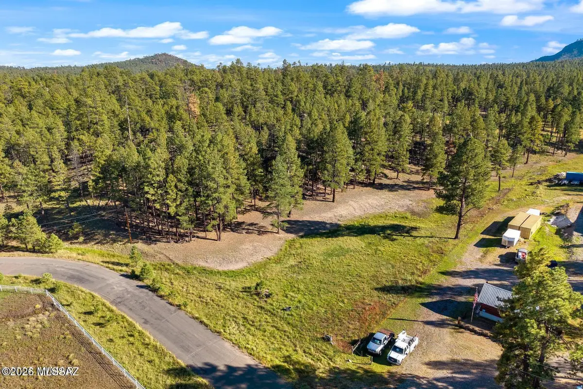 158 County Road 2266, Alpine, AZ 85920 - #1