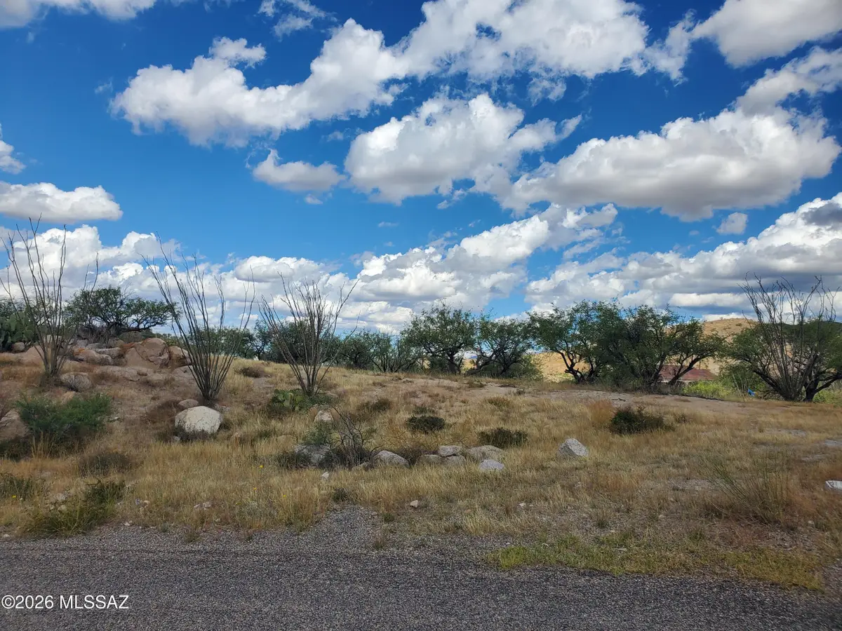 1690 Goce, Rio Rico, AZ 85648 - #1