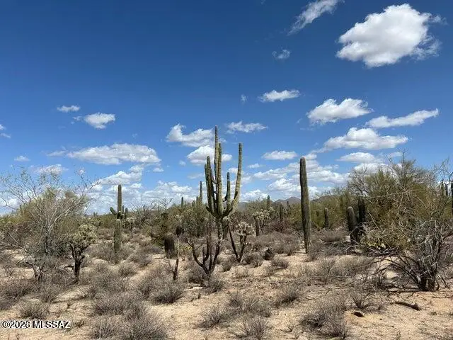 5170 W Lambert, Tucson, AZ 85742 - #2