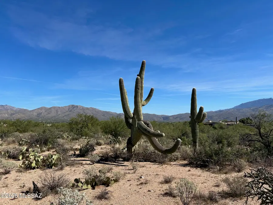 11651 E Andalusian, Tucson, AZ 85748 - #3