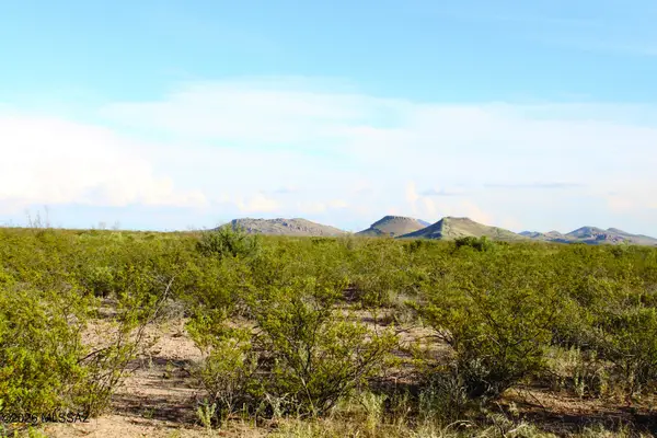 4.20 Acre La Mar, Douglas, AZ 85607