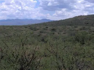 Address Withheld By Seller, Elfrida, AZ  - Image #1