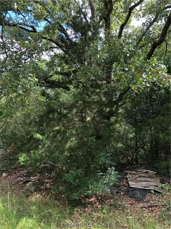 9999 Koppe Bridge Road, College Station, TX 77845