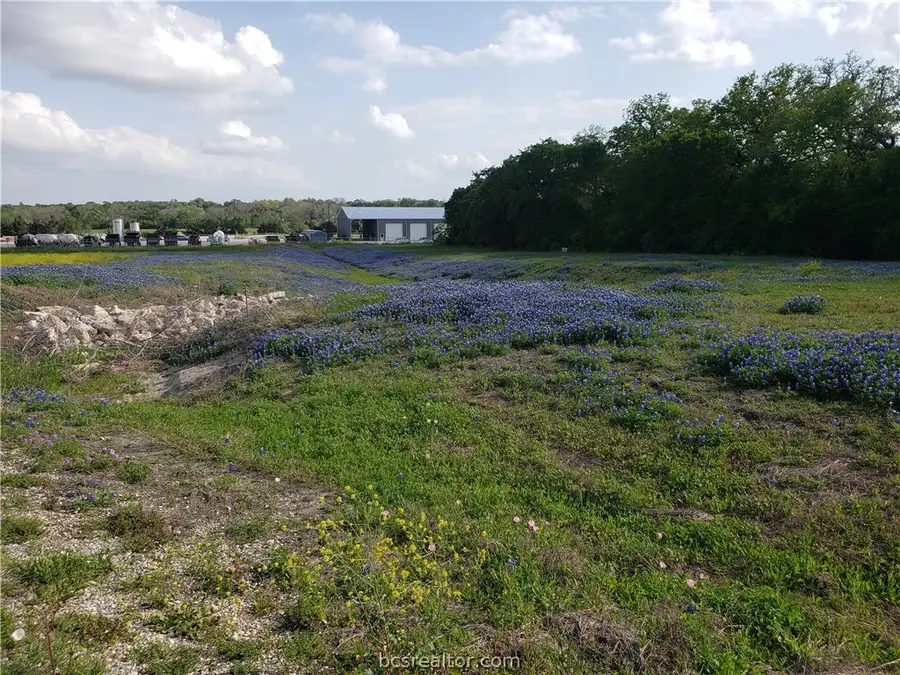 3903 Counsil Lane, Brenham, TX 77833 - #2