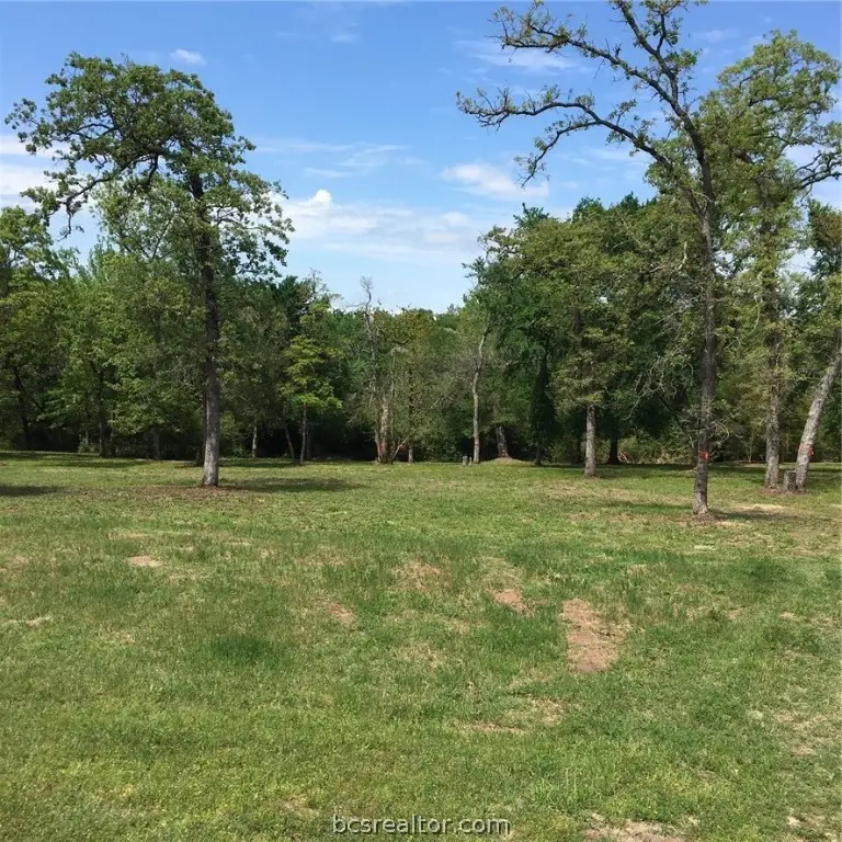 00 Windsor Avenue, Iola, TX 77861 - Image #3