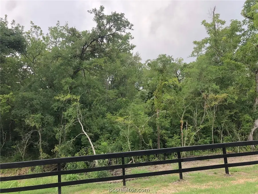 7634 Woodland Farms Lane, Chappell Hill, TX 77426 - Image #3