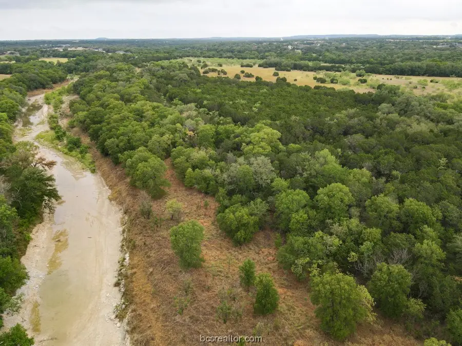 TBD Cr 258, Liberty Hill, TX 78642 - #2