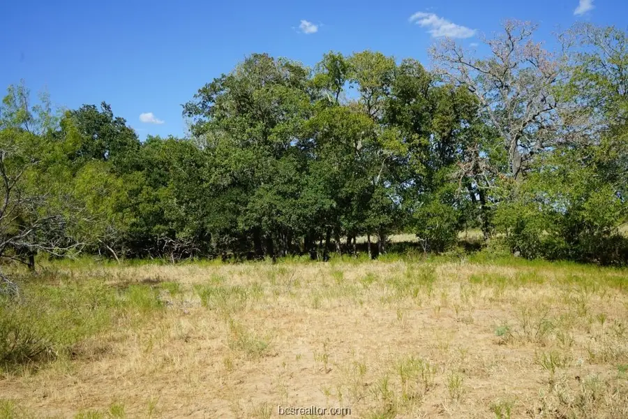 TBD 1 Cr 236a, Milano, TX 76556 - #2