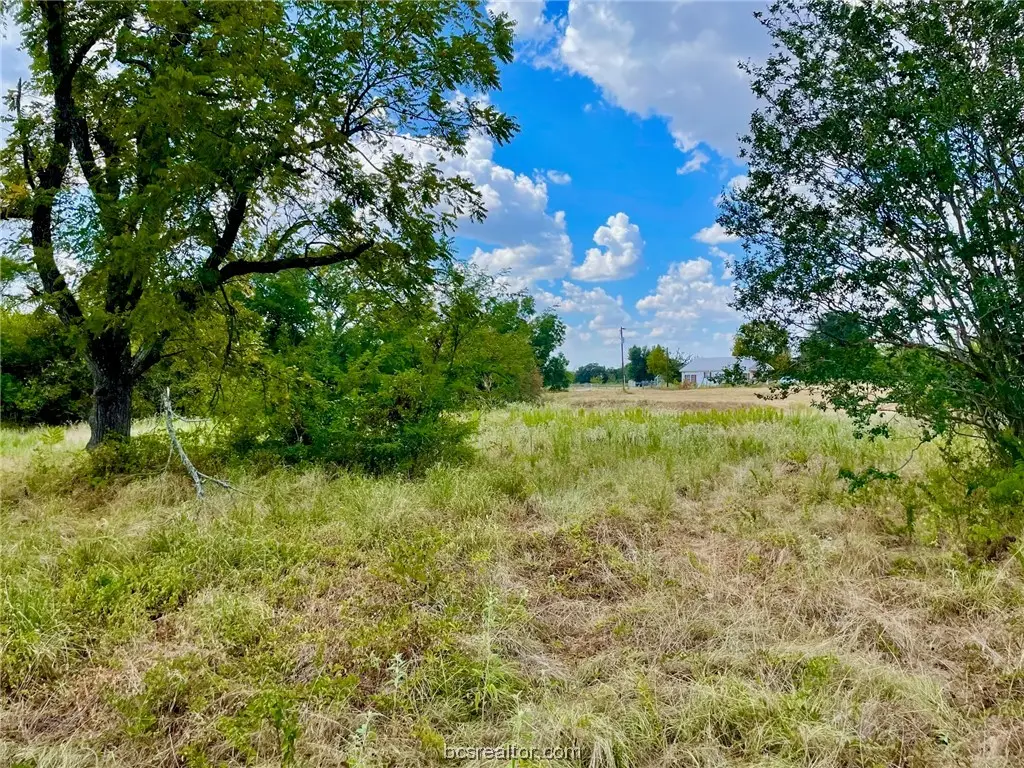 281 E Fm 979, Franklin, TX 77856 - #1