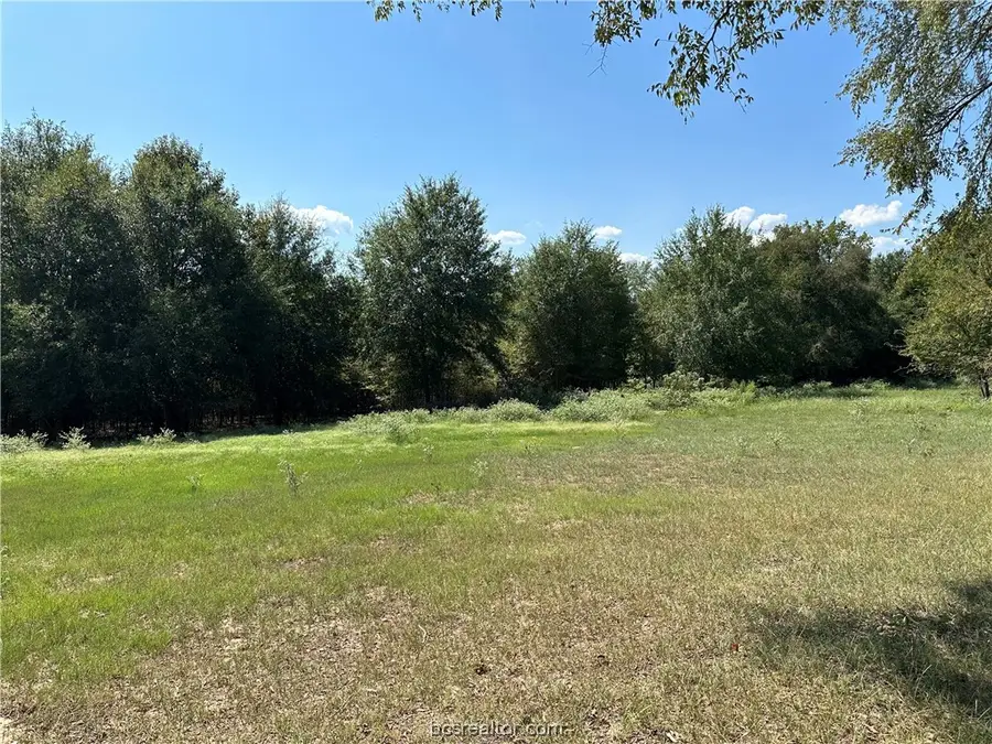 TRACT 2 TBD Fcr 296, Oakwood, TX 75855 - Image #3