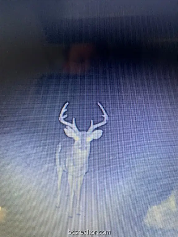 38.28 AC PR 5787 Fm 937 Road, Groesbeck, TX 76642 - Image #2