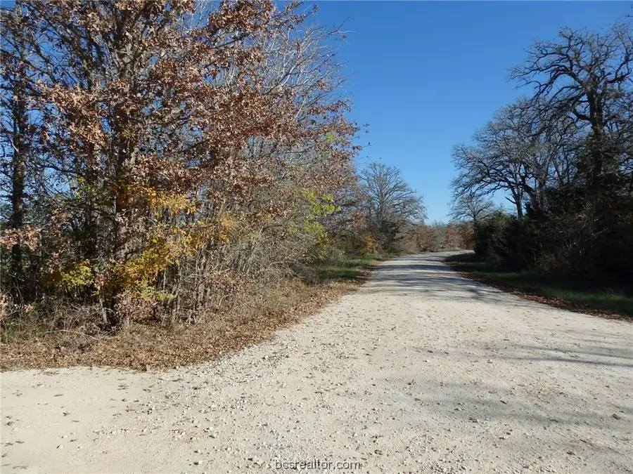 16914 County Road 163, Anderson Bedias, TX 77681 - Image #3