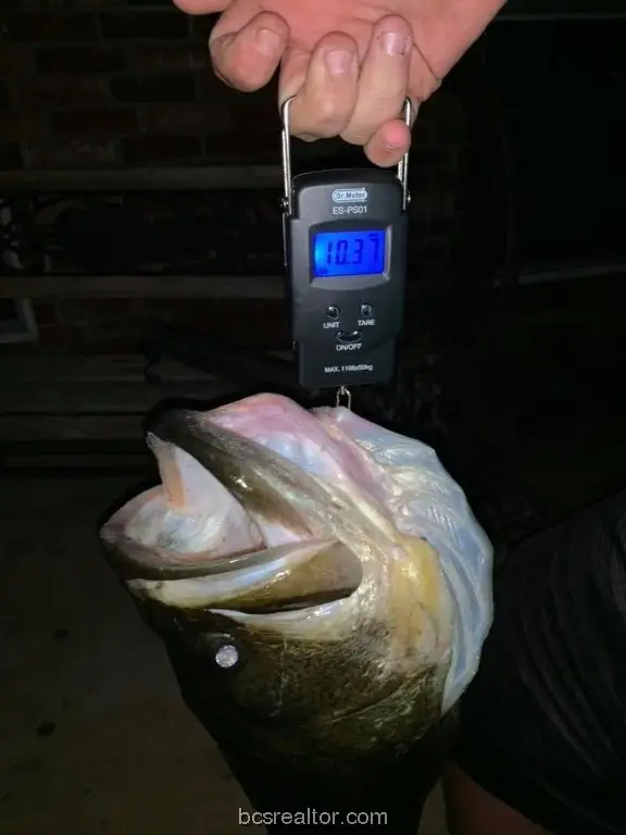 TBD Golf Club Drive, Hilltop Lakes, TX 77871 - Image #3