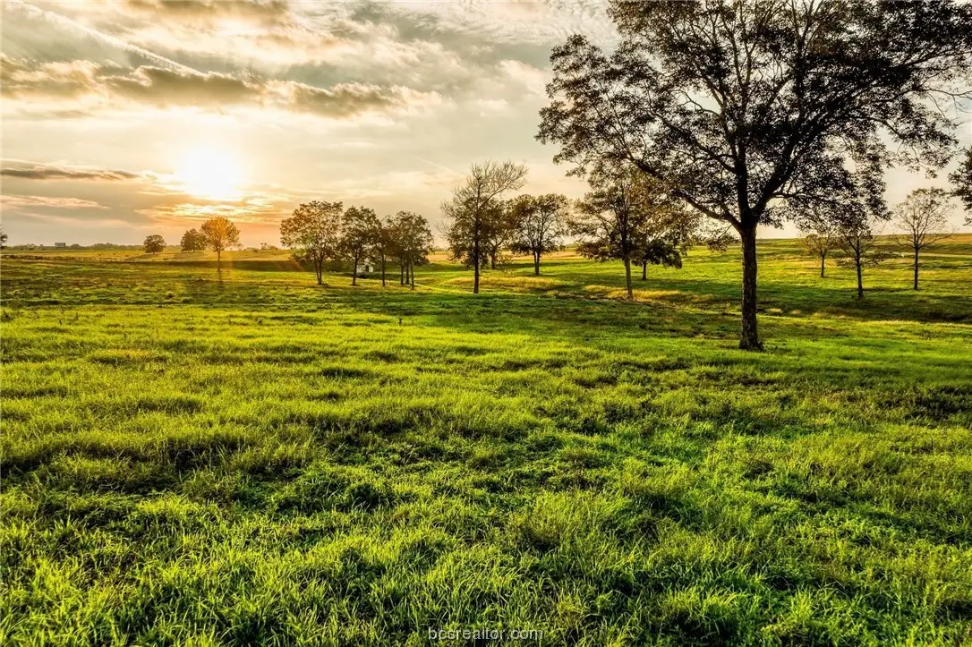 TBD Sunshine Lot 13 Court, Chappell Hill, TX 77426 - #1