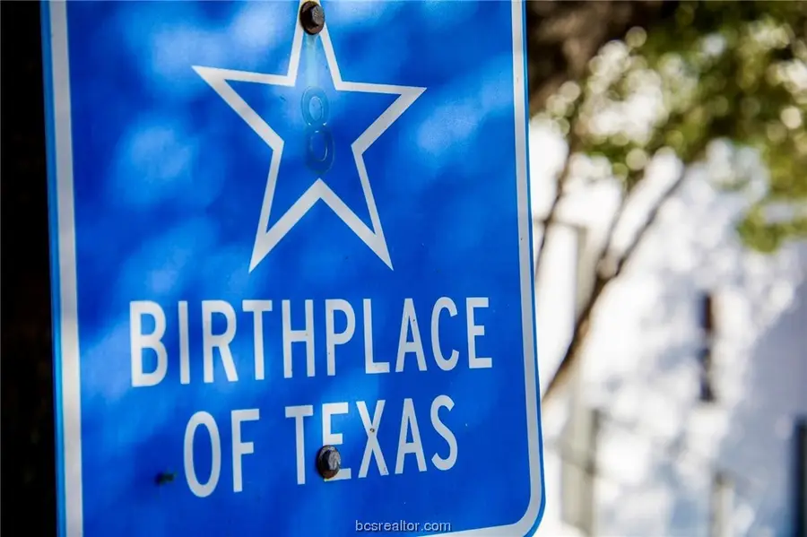 TBD Sunshine Lot 15 Court, Chappell Hill, TX 77426 - Image #3