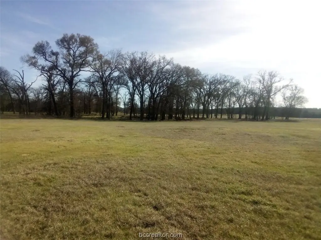 TBD County Road 231, Centerville, TX 75833 - Image #1