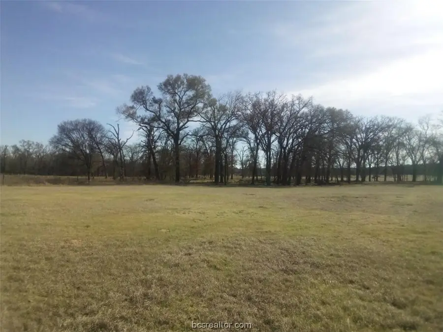 TBD County Road 231, Centerville, TX 75833 - Image #2