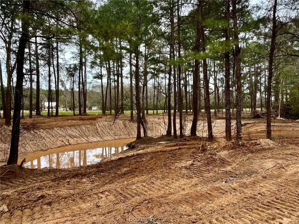 TBD Fm 362, Navasota, TX 77868 - Image #1