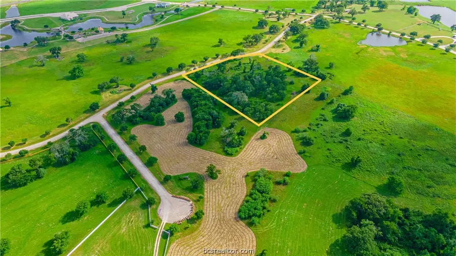 Tract 7-B Lake Victoria Drive, Navasota, TX 77868 - Image #3