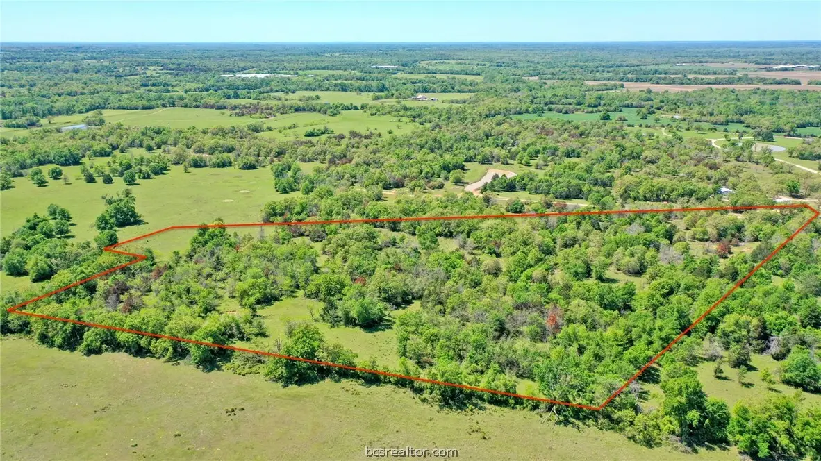 468 Deep Creek Lane, Franklin, TX 77856 - #1