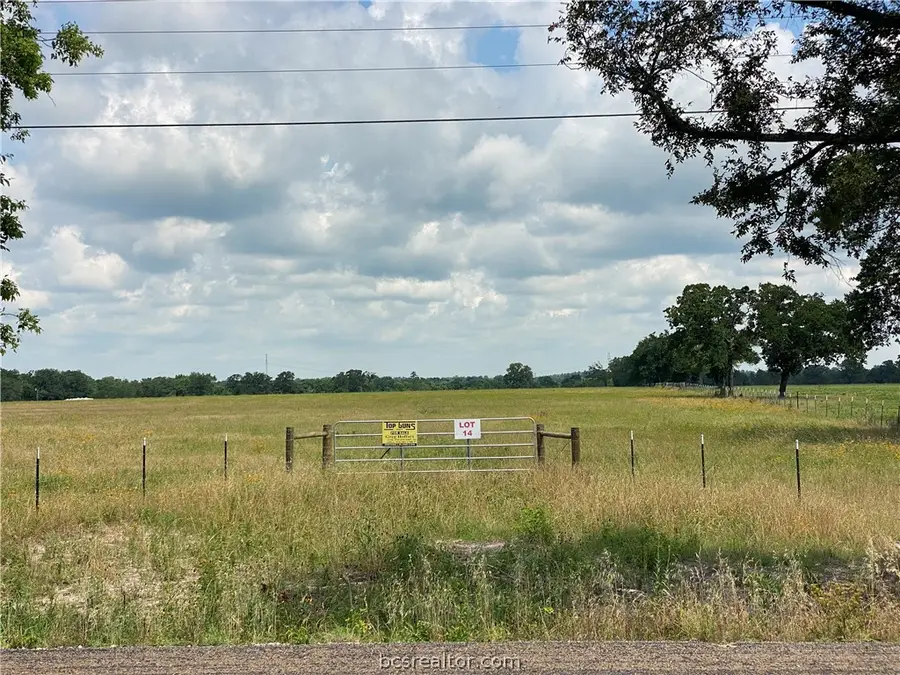 15 acres, Lot 14 30 Highway, Bedias, TX 77831 - Image #3