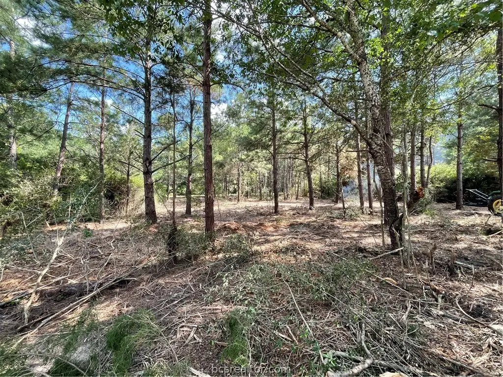 TBD Kingston Lane, Hilltop Lakes, TX 77871 - Image #1