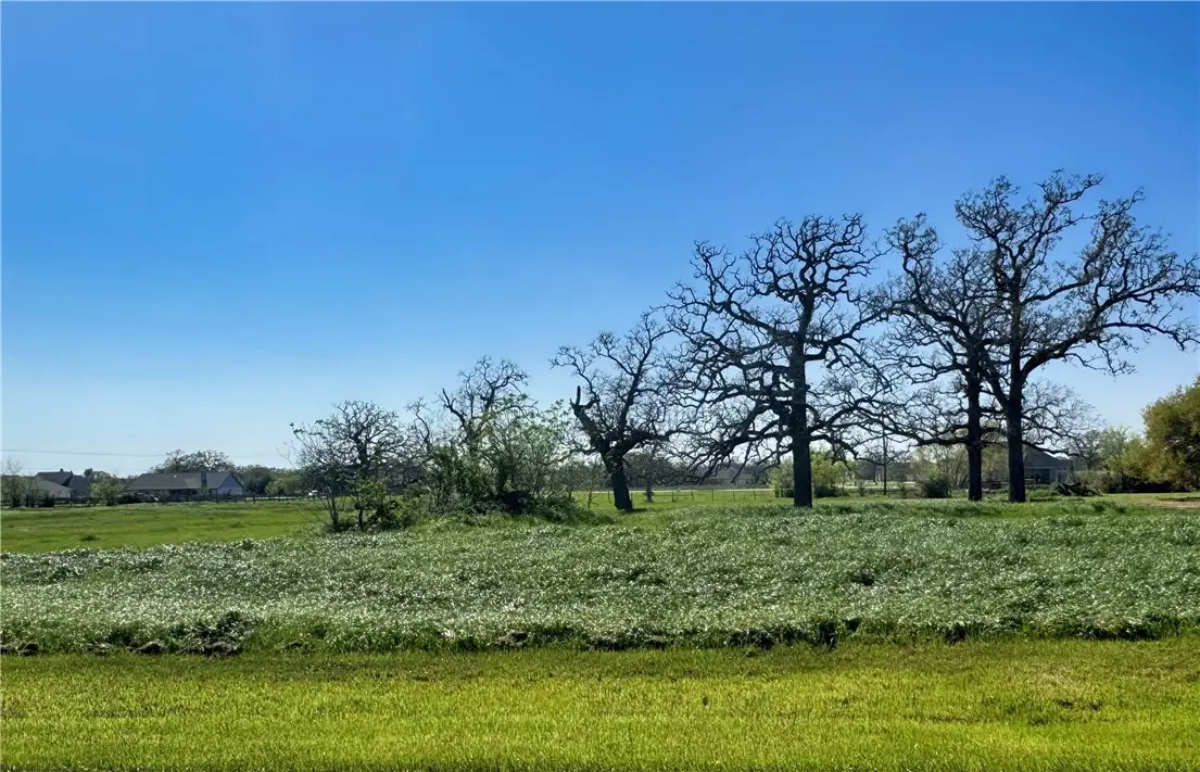 9993 Panther Creek Drive, Iola, TX 77861 - #1