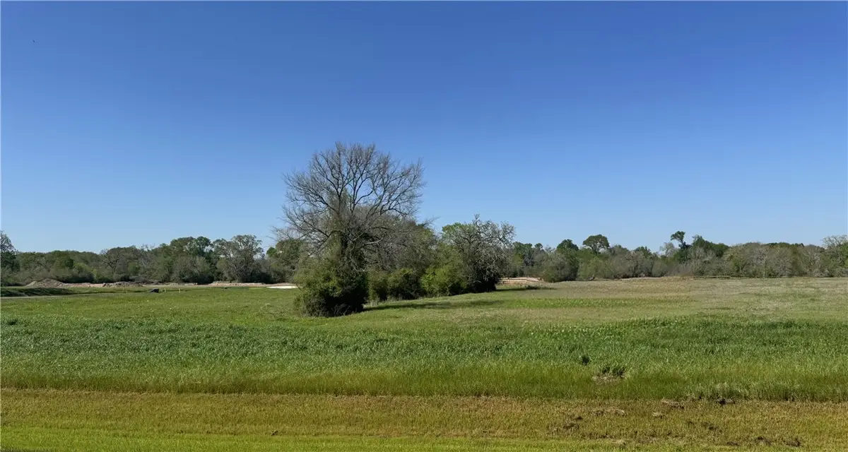 9956 Panther Ridge Drive, Iola, TX 77861 - Image #1