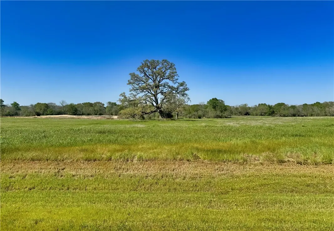 10022 Hidden Pond Drive, Iola, TX 77861 - Image #1