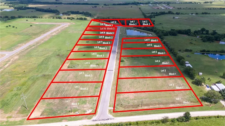 4578 Deadwood Lane, Bryan, TX 77808 - Image #2