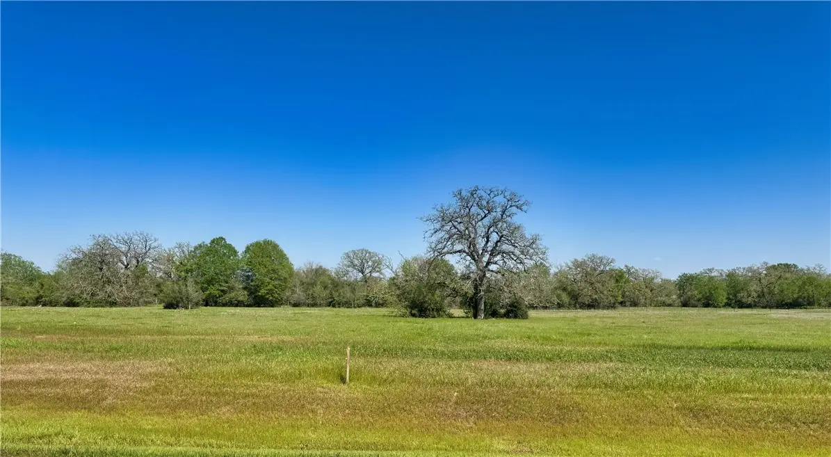 10172 Panther Creek Drive, Iola, TX 77861 - Image #1