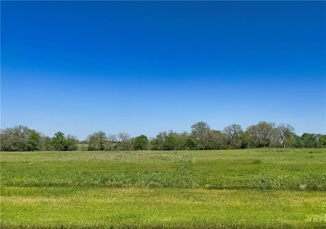 10094 Panther Creek Drive, Iola, TX 77861 - Image #1