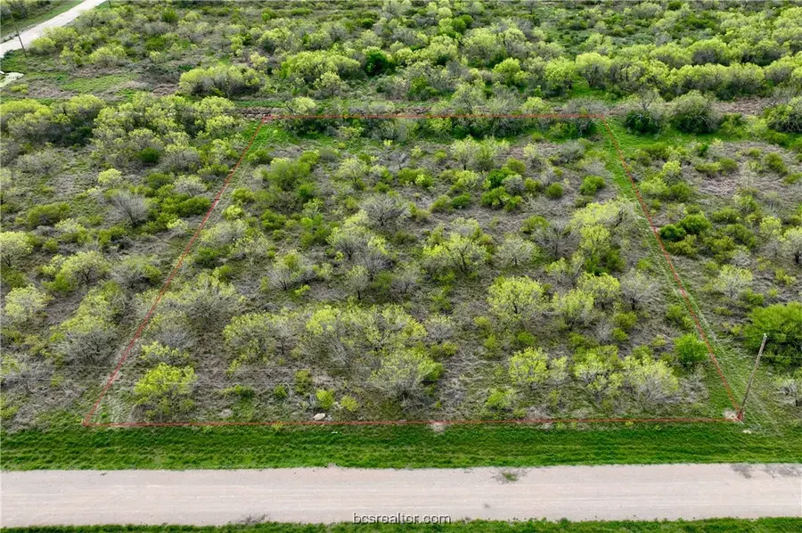 Lot 39 Pr Frio Estates Drive, Other, TX 78057 - #2