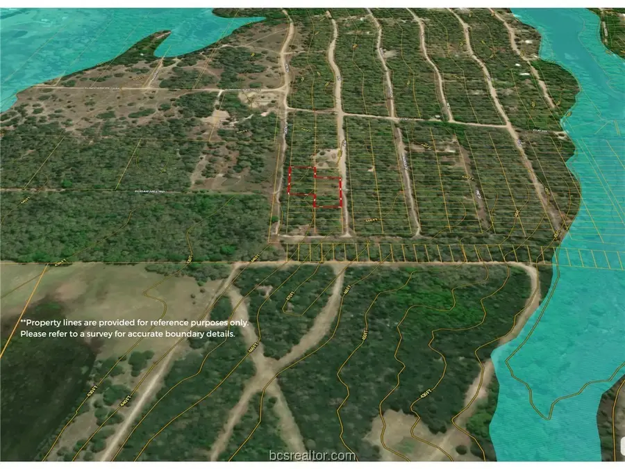 TBD Chestnut Drive, Caldwell, TX 77836 - Image #3