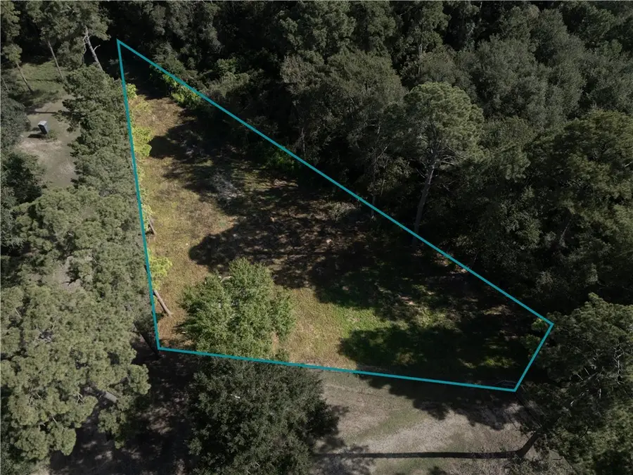 7701 S Creek Lane, Plantersville, TX 77363 - Image #3