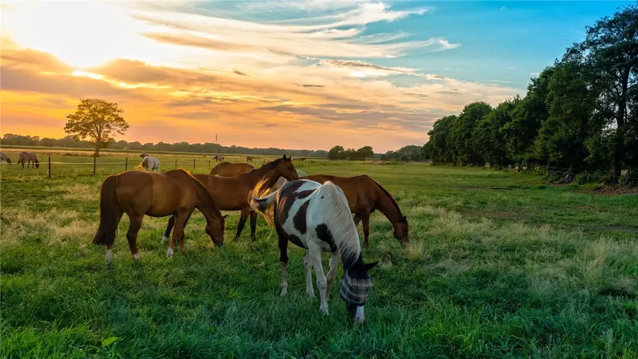 6436 Scenic View Trail, Bryan, TX 77808 - Image #3