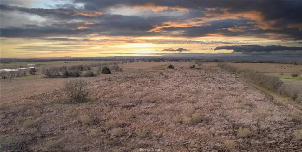 TBD County Road 216, Caldwell, TX 77836 - #1