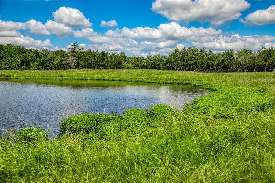 1850 Lcr 439, Personville, TX 76667 - #2