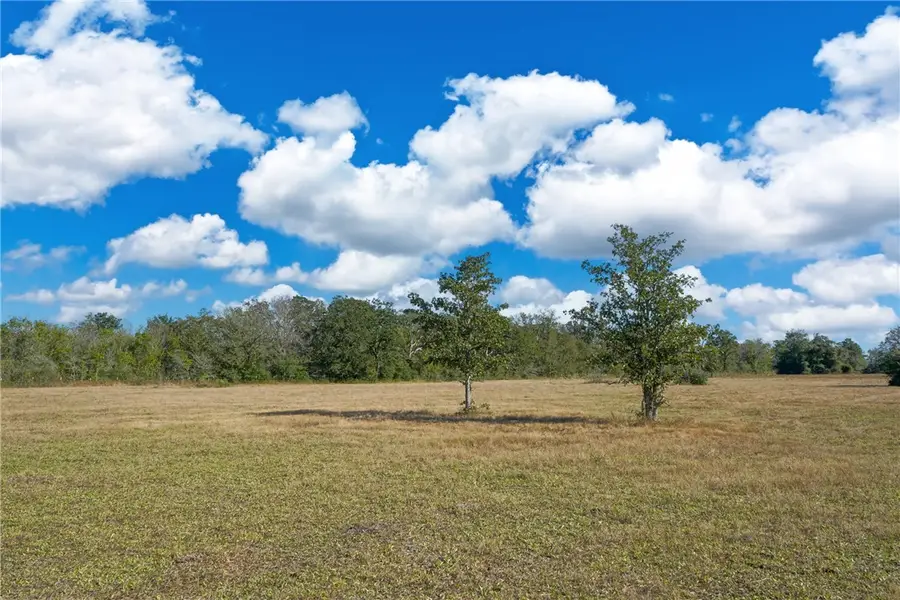 Lot 14 County Rd 229, Bedias, TX 77831 - #3