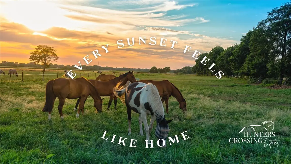 3501 Hunters Crossing Trail, Bryan, TX 77808 - Image #1