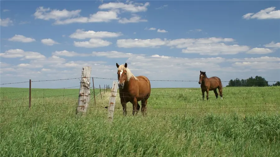 6502 Scenic View Trail, Bryan, TX 77808 - Image #3