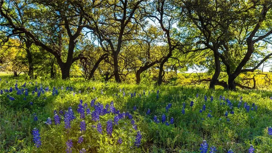 6458 Scenic View Trail, Bryan, TX 77808 - Image #2