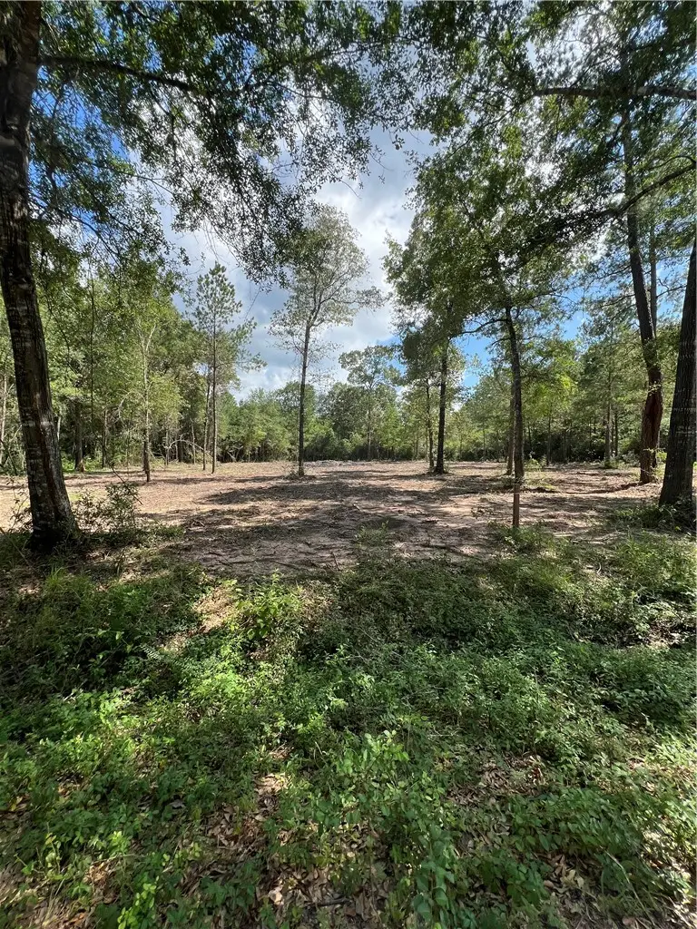 TBD Lot 3 Deerwood Drive, Plantersville, TX 77363 - #1