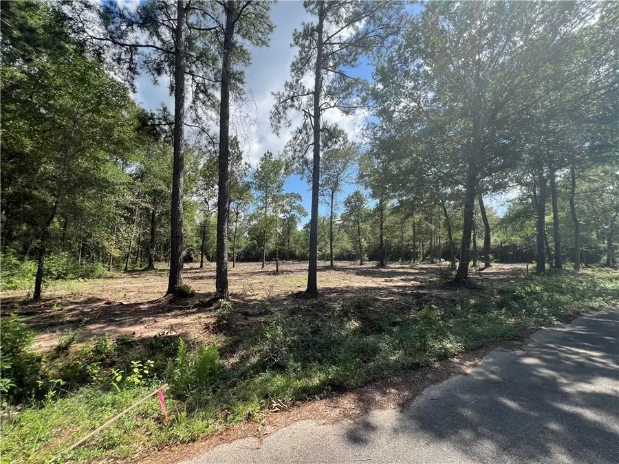 TBD Lot 3 Deerwood Drive, Plantersville, TX 77363 - #2