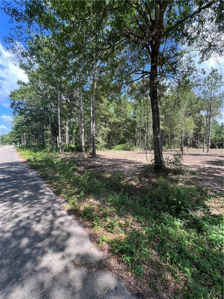 TBD Lot 3 Deerwood Drive, Plantersville, TX 77363 - #3